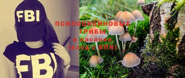 стафф Болотное