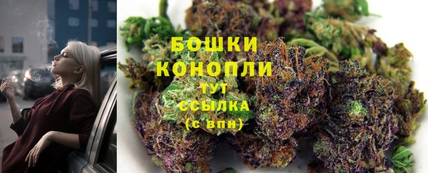 2c-b Болохово